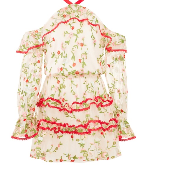 Alexis  Ivory Floral Adeline Dress - Picture 3 of 5